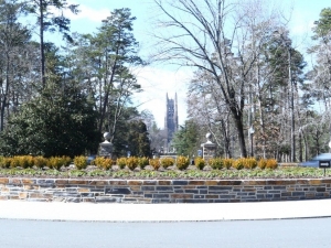 Photo of Duke Chapel Drive from the Circle