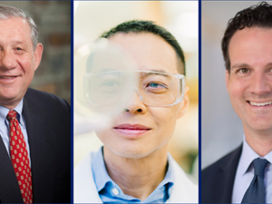 Photo collage of Thomas N. Denny, Ooi Eng Eong and David Ridley