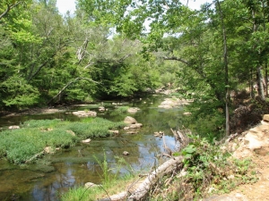 The Eno River State Park in Durham features 30 miles of hiking trails and a shallow, winding stream.  Courtesy of Wikimedia Commons