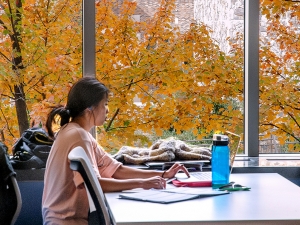 Image of student working on a laptop