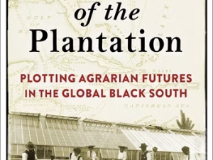Book cover of Afterlives of the Plantation