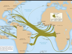 Map of slave-trade voyages across the Atlantic. (Emory Center for Digital Scholarship, Mellon Foundation)