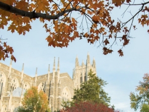Photo of Duke University Skyline