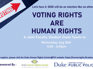 Voting Rights are Human Rights Flyer