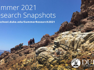 Graduate School Summer Research Snapshots 2021